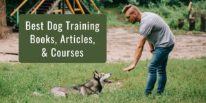 Best Dog Training Books, Articles, & Courses