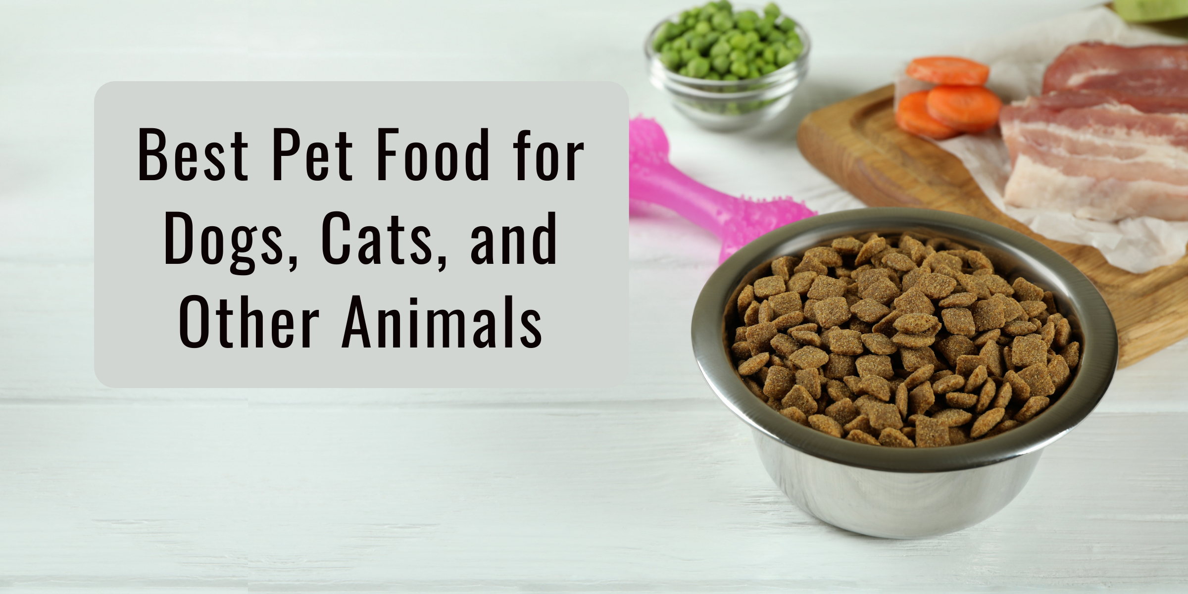 Best Pet Food for Dogs, Cats, and Other Animals